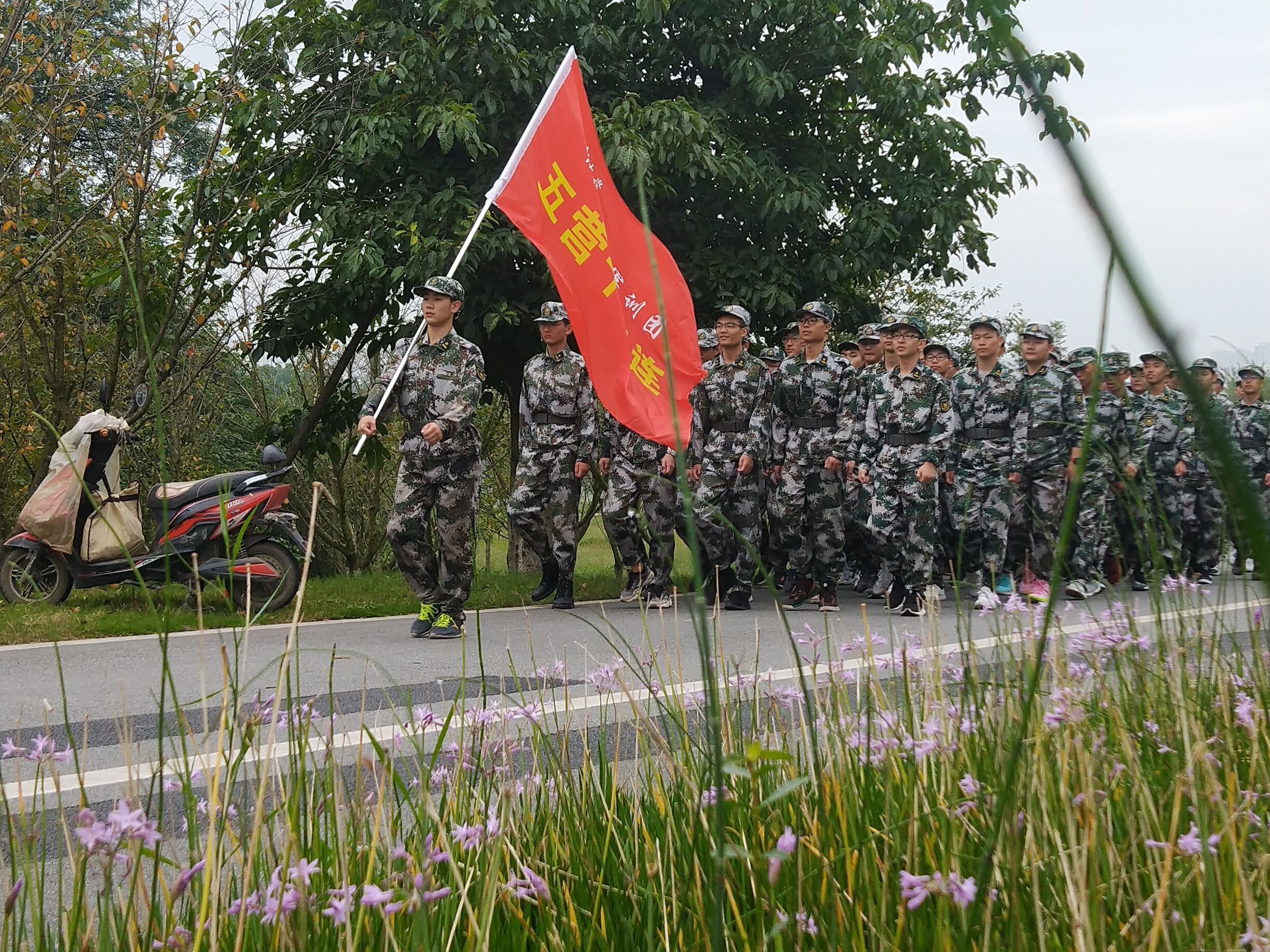 QQ图片20190921121857.jpg