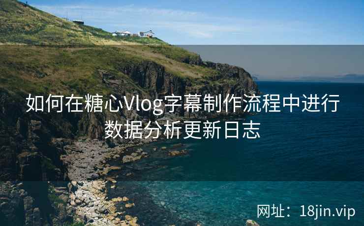 如何在糖心Vlog字幕制作流程中进行数据分析更新日志