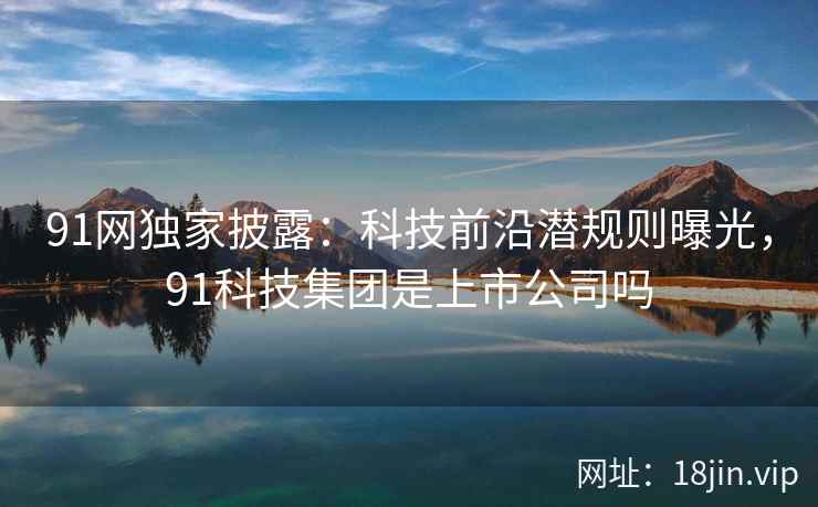 91网独家披露：科技前沿潜规则曝光，91科技集团是上市公司吗  第2张