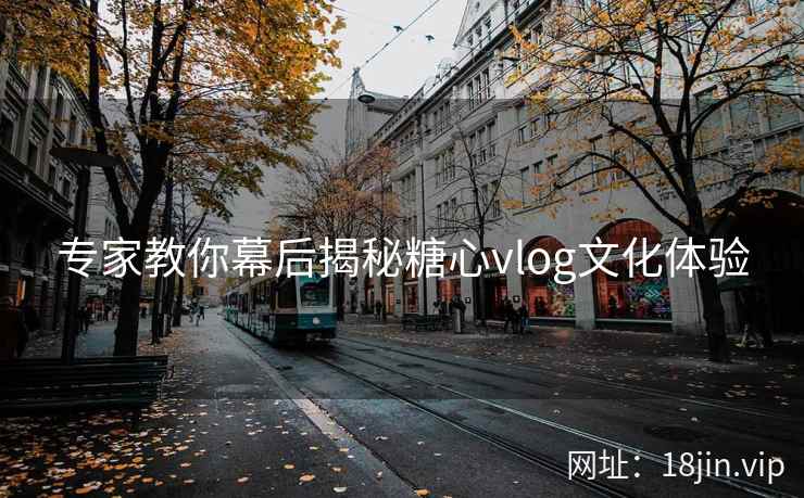 专家教你幕后揭秘糖心vlog文化体验