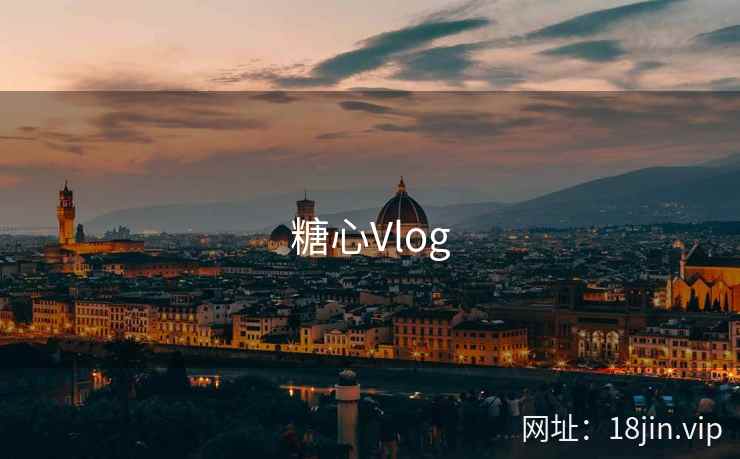 糖心Vlog 第1张