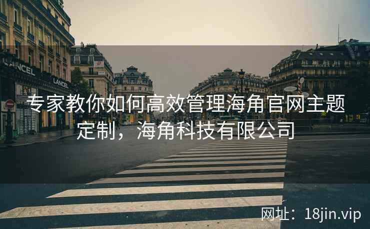 专家教你如何高效管理海角官网主题定制，海角科技有限公司