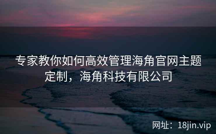 专家教你如何高效管理海角官网主题定制，海角科技有限公司