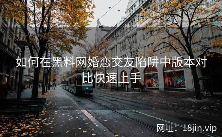 如何在黑料网婚恋交友陷阱中版本对比快速上手  第2张