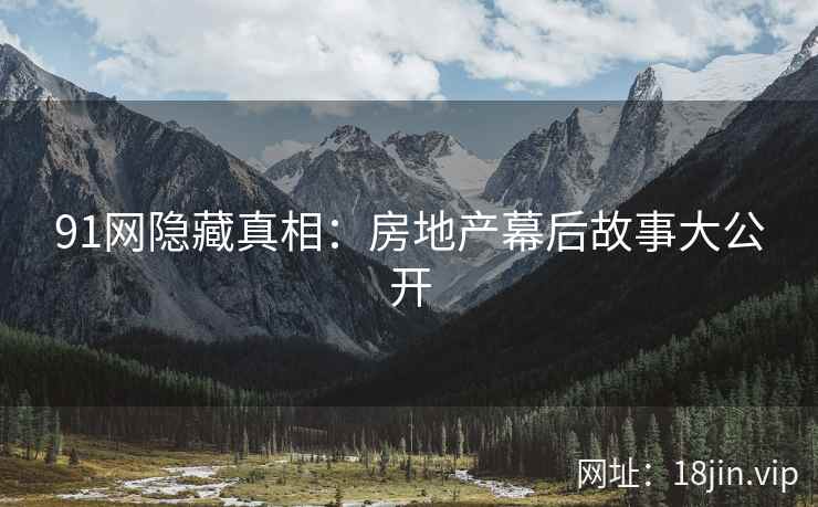 91网隐藏真相：房地产幕后故事大公开  第2张