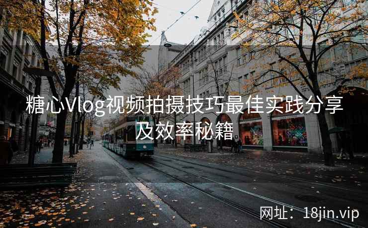 糖心Vlog视频拍摄技巧最佳实践分享及效率秘籍