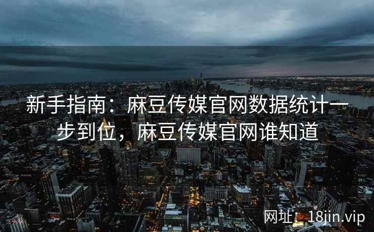 新手指南：麻豆传媒官网数据统计一步到位，麻豆传媒官网谁知道