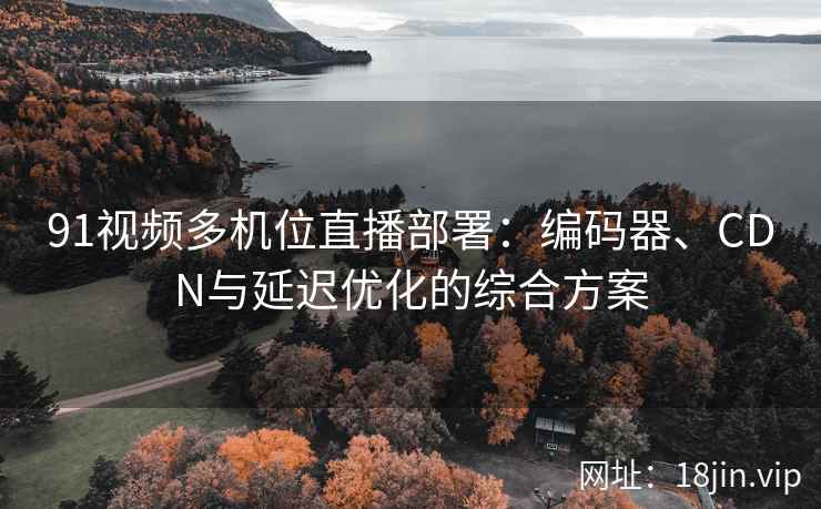 91视频多机位直播部署：编码器、CDN与延迟优化的综合方案  第1张