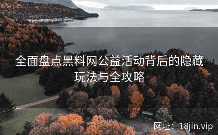 全面盘点黑料网公益活动背后的隐藏玩法与全攻略