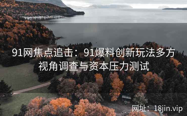 91网焦点追击：91爆料创新玩法多方视角调查与资本压力测试  第1张