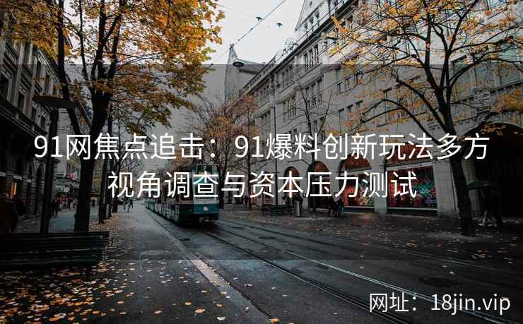 91网焦点追击：91爆料创新玩法多方视角调查与资本压力测试  第2张