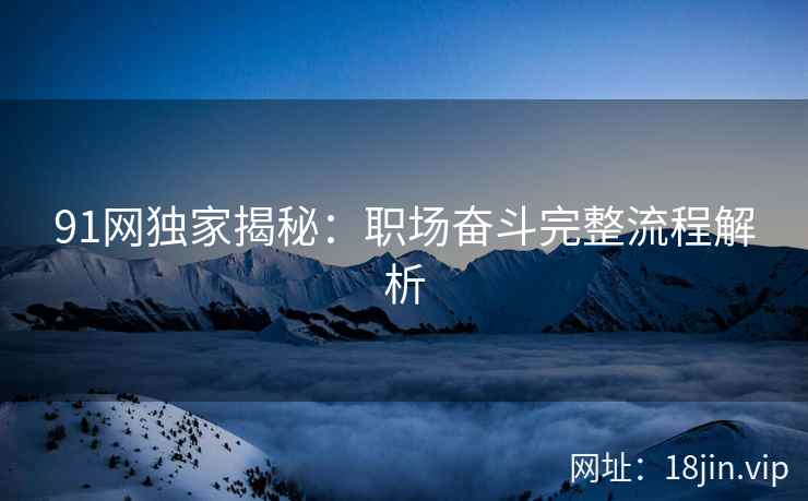 91网独家揭秘：职场奋斗完整流程解析  第1张