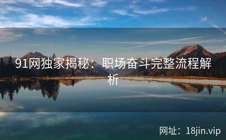 91网独家揭秘：职场奋斗完整流程解析  第2张